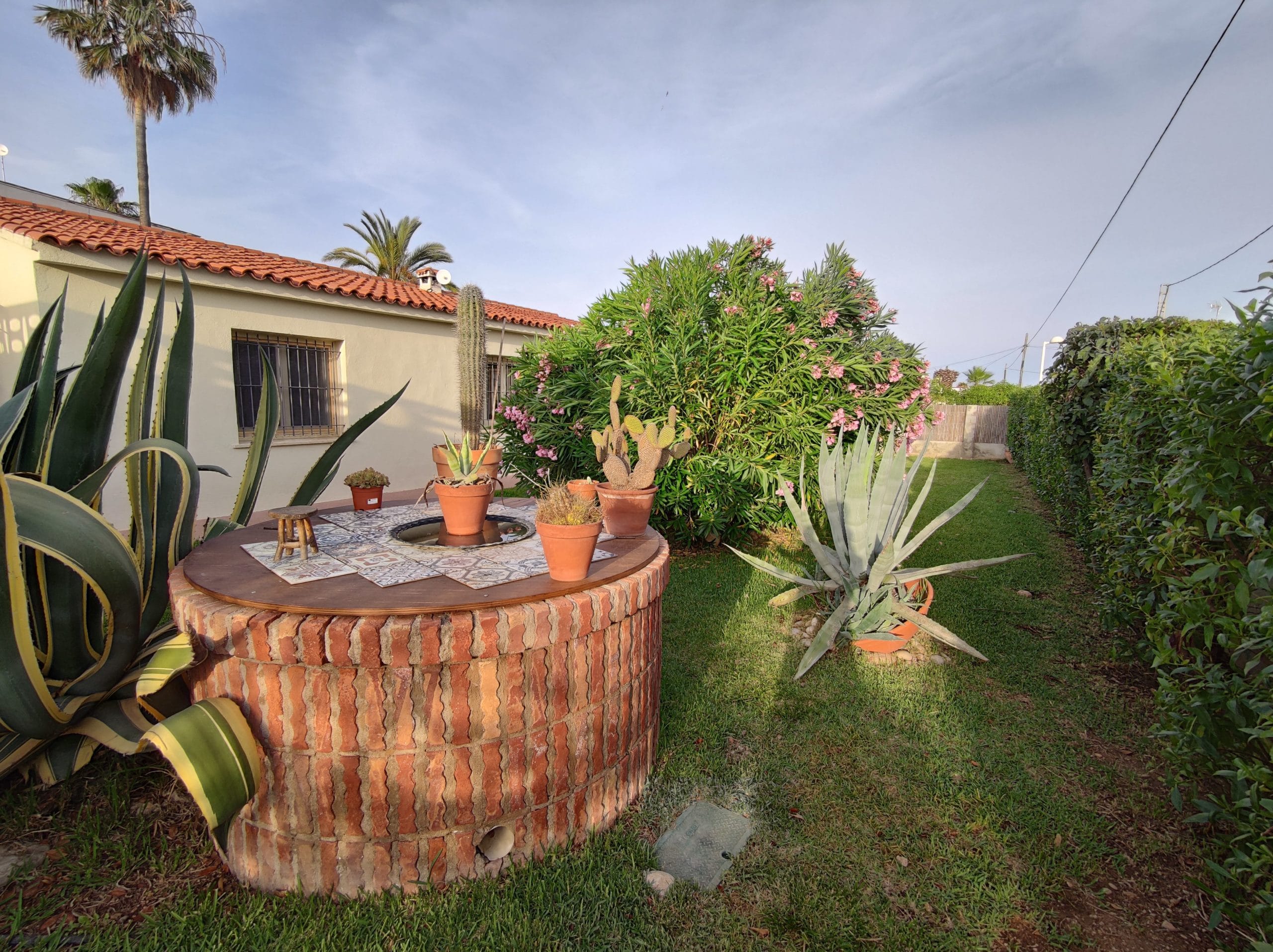 Una de nuestras casas con su jardin con plantas en Vinaros.